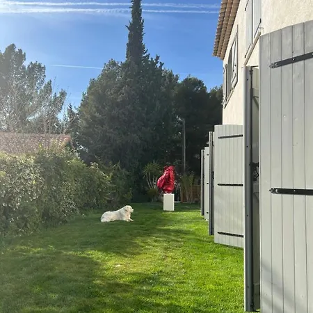 Oda ve Kahvaltı La Cezanne *